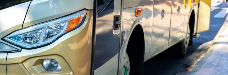 white and brown bus